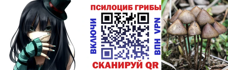 Псилоцибиновые грибы Psilocybine cubensis  Красновишерск 